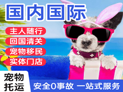 昭苏天马航空运输国际宠物托运 【国